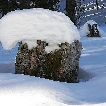 Waldesruh Арцль (Пицталь)