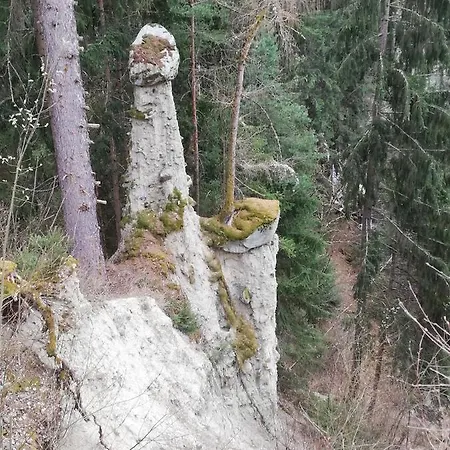 Waldesruh Appartement