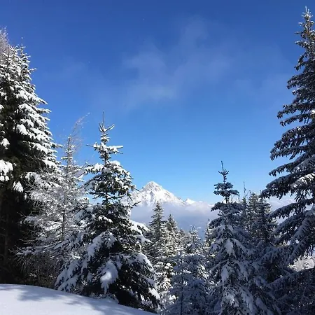 Waldesruh Διαμέρισμα *