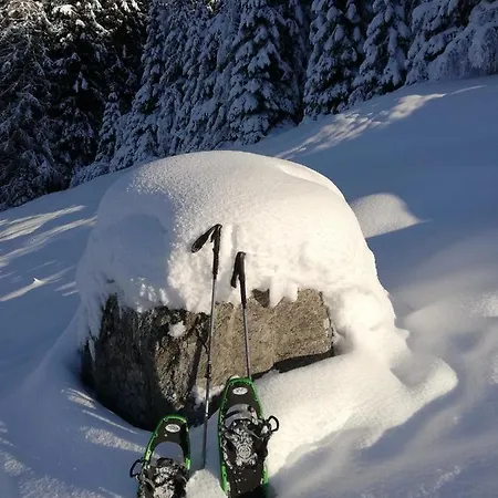 Waldesruh Apartment Arzl im Pitztal
