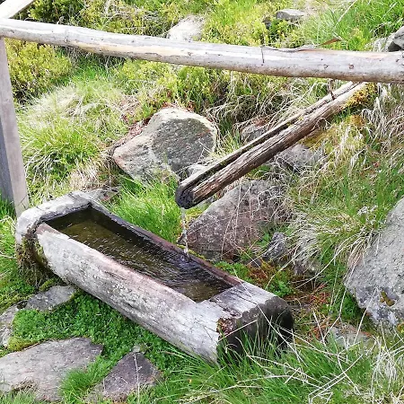 Waldesruh