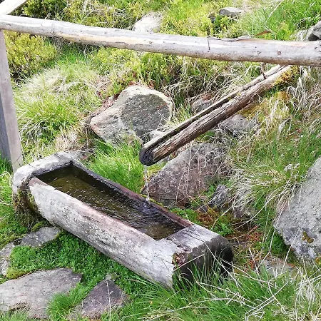 Waldesruh