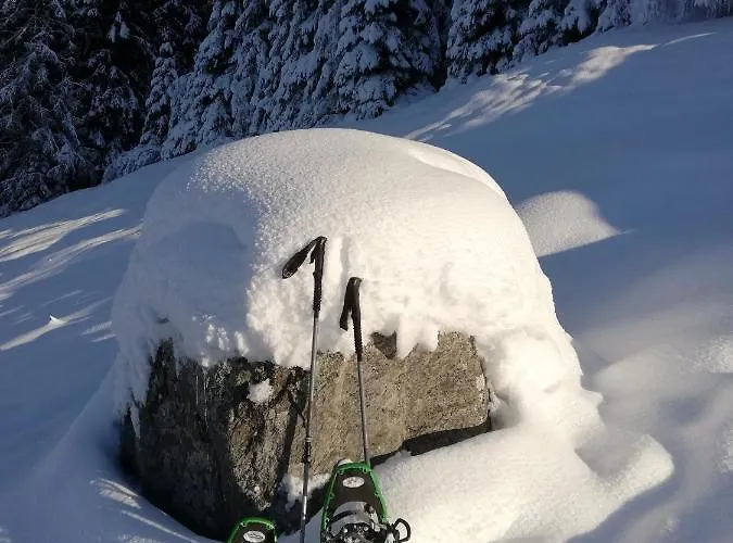 Waldesruh 公寓 阿泽皮茨陶