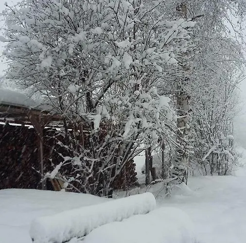 公寓 Waldesruh 阿泽皮茨陶