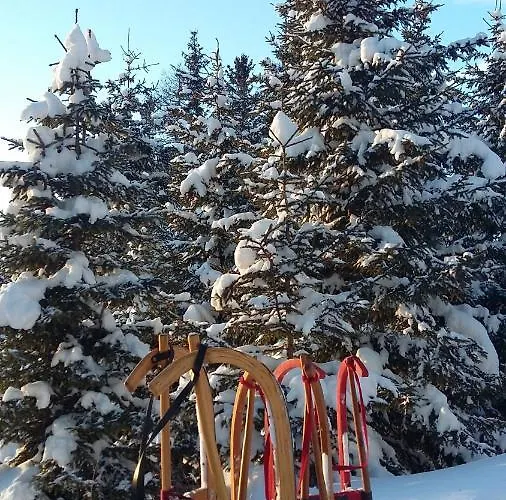 公寓 Waldesruh 阿泽皮茨陶