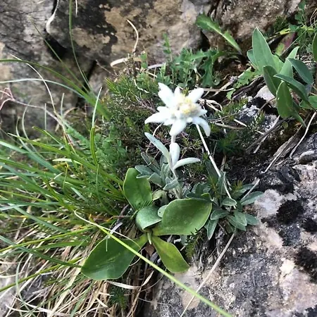 Waldesruh Apartamento