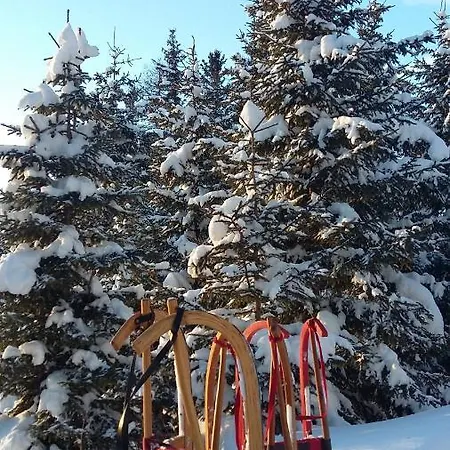 Apartamento Waldesruh Arzl im Pitztal