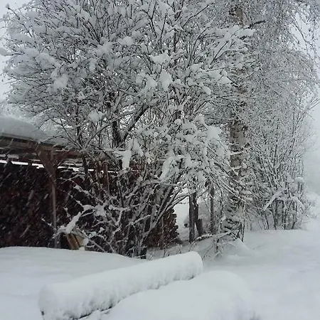 Daire Waldesruh Arzl im Pitztal