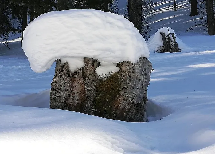 Waldesruh Arzl im Pitztal